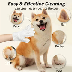 Pet Cleaning Kit | Disposable Grooming Gloves, Ear, Eye & Tooth Wipes